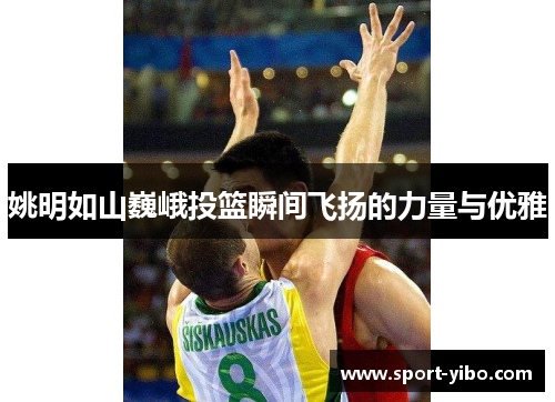 姚明如山巍峨投篮瞬间飞扬的力量与优雅 姚明如山巍峨投篮瞬间飞扬的力量与优雅