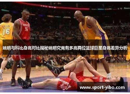 姚明与科比身高对比揭秘姚明究竟有多高两位篮球巨星身高差异分析