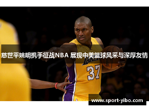慈世平姚明携手征战NBA 展现中美篮球风采与深厚友情 慈世平姚明携手征战NBA 展现中美篮球风采与深厚友情