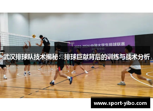 武汉排球队技术揭秘：排球巨献背后的训练与战术分析