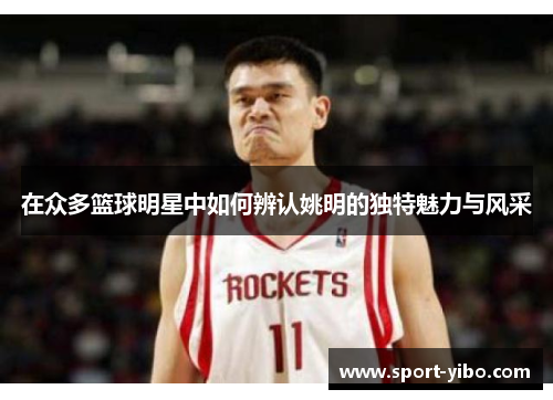 在众多篮球明星中如何辨认姚明的独特魅力与风采