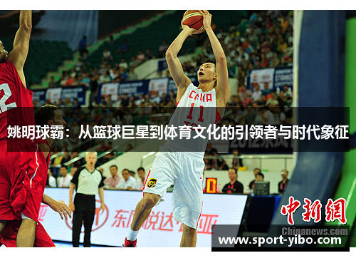 姚明球霸：从篮球巨星到体育文化的引领者与时代象征