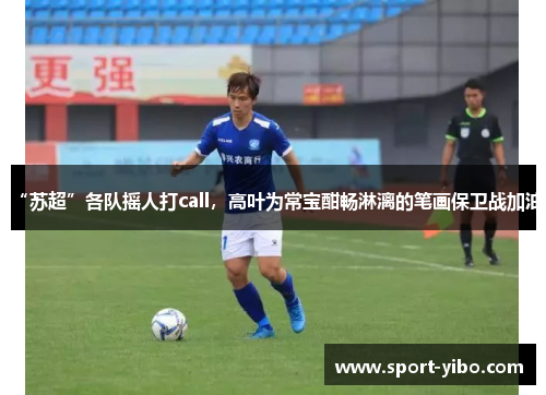 “苏超”各队摇人打call，高叶为常宝酣畅淋漓的笔画保卫战加油
