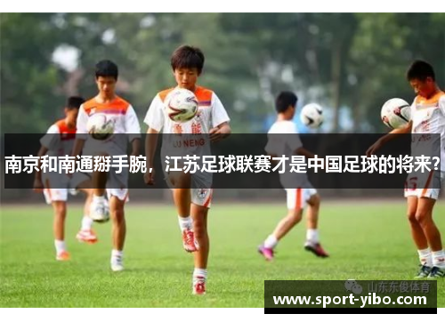 南京和南通掰手腕,江苏足球联赛才是中国足球的将来? 南京和南通掰手腕,江苏足球联赛才是中国足球的将来?
